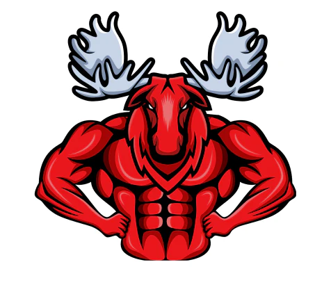 Moose Coaching